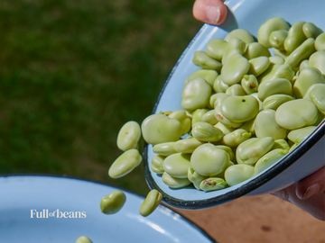 Why Fava Beans are the Star of Full of Beans